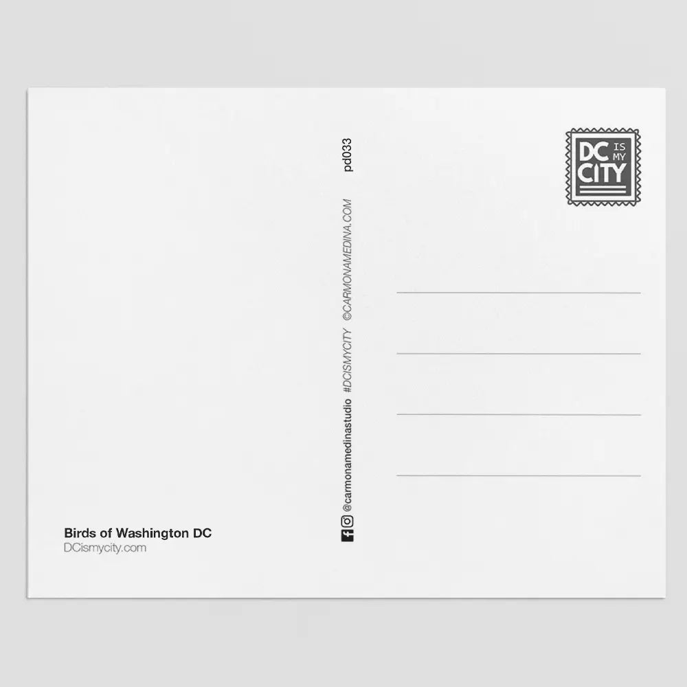 Postcard - Birds of Washington DC